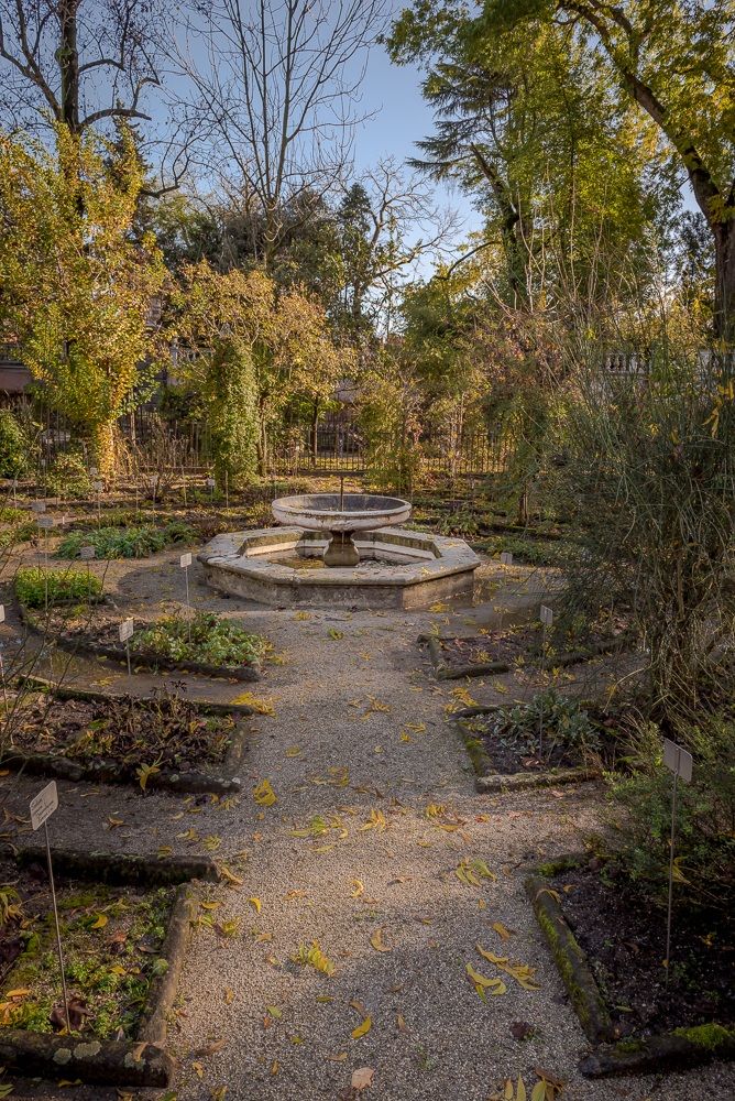 Orto botanico di Padova