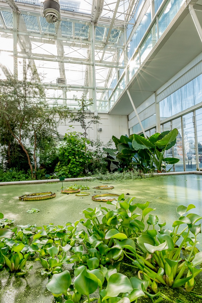 Orto botanico di Padova