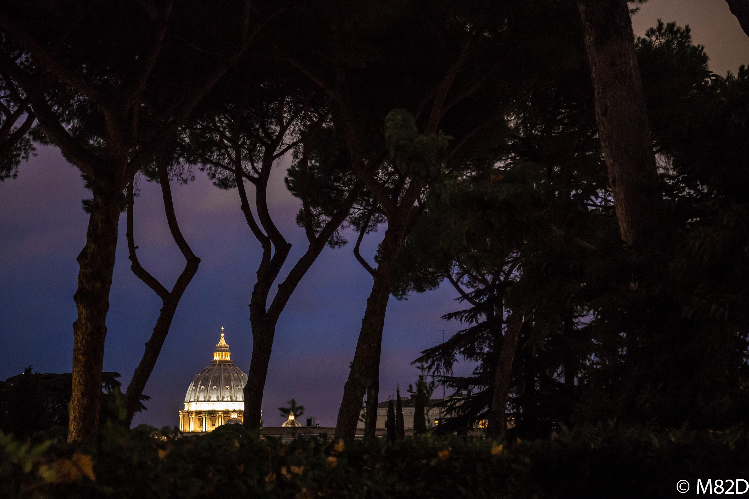 scorci di San Pietro