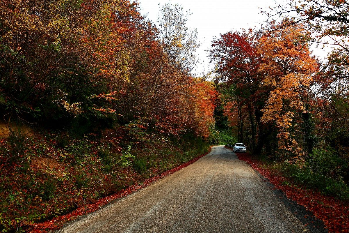 Autumn, but you have to move a car ...