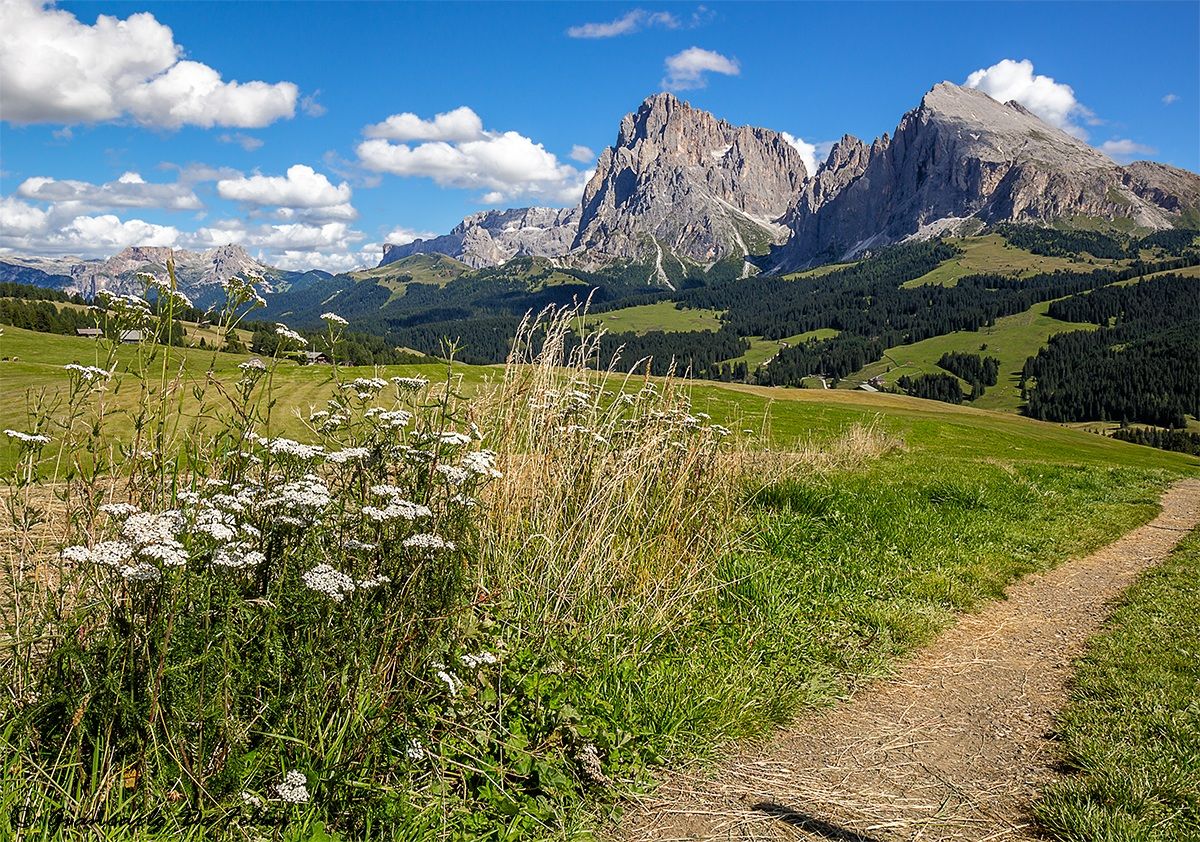 Sassolungo and Sassopiatto