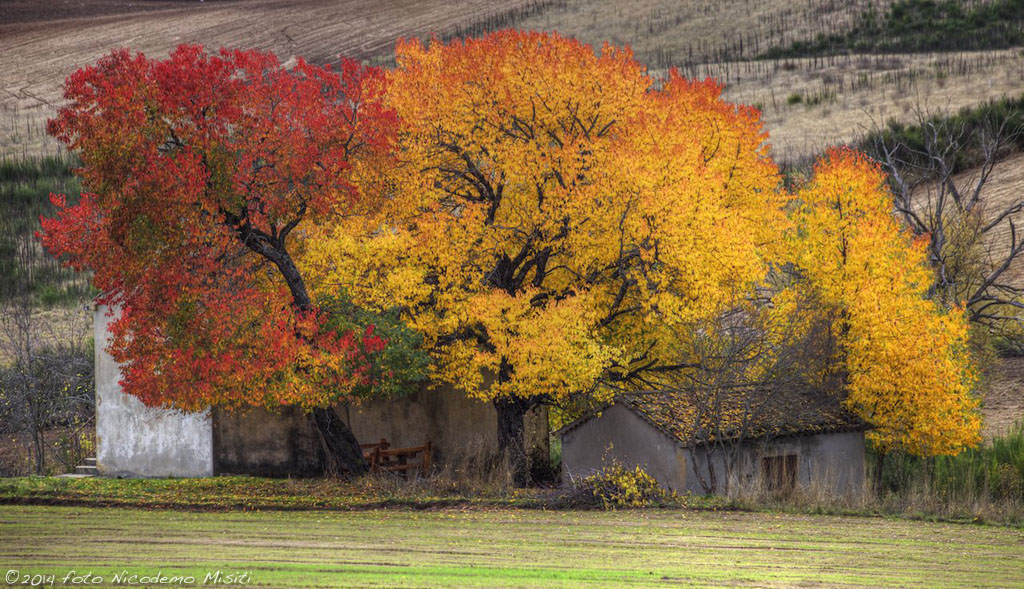 Autunno in Sila - Acri (cs)