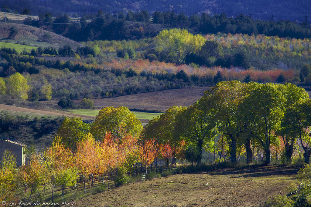 Autunno in Sila - Acri (cs)