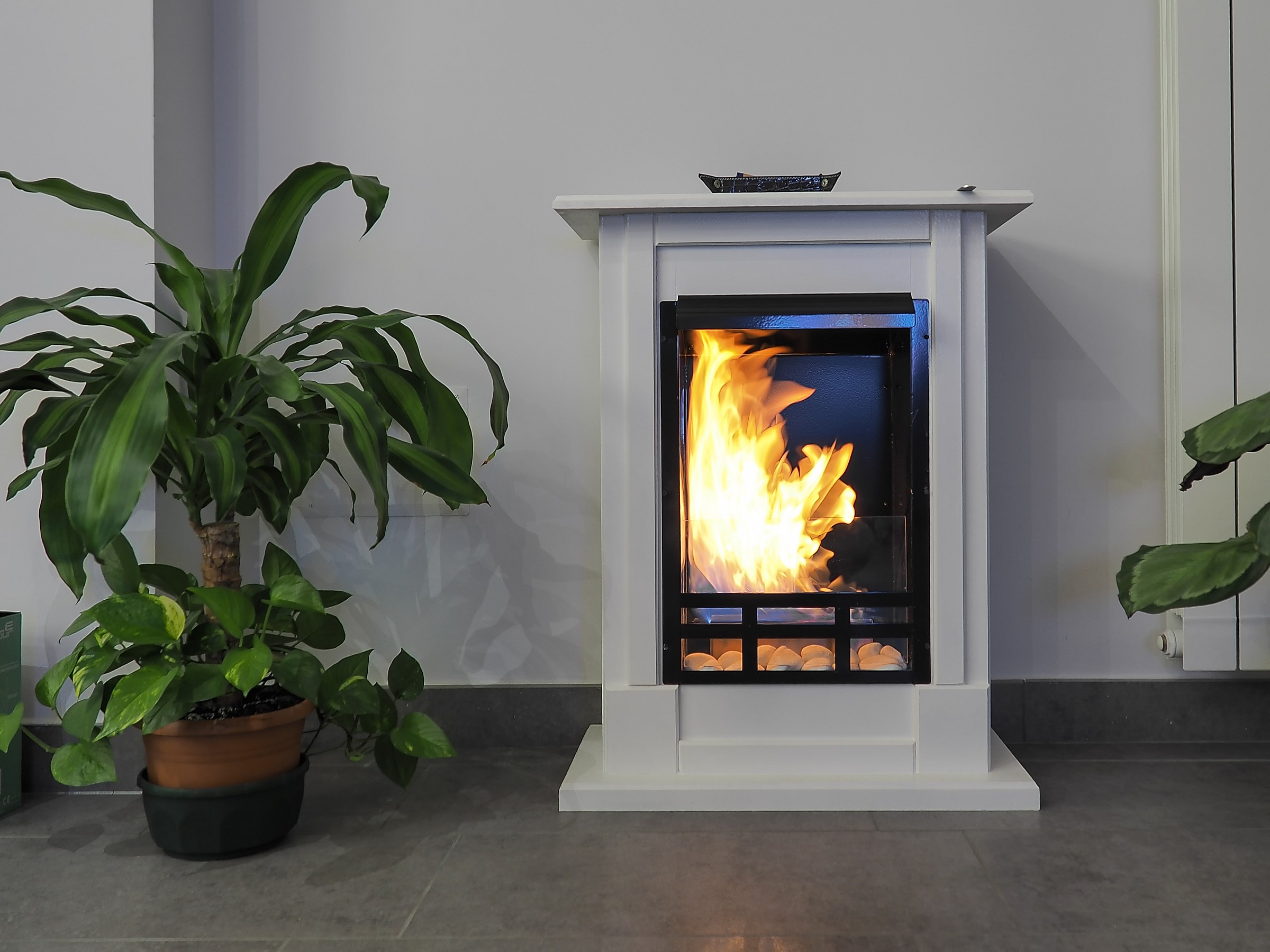 funzione live composite di olympus