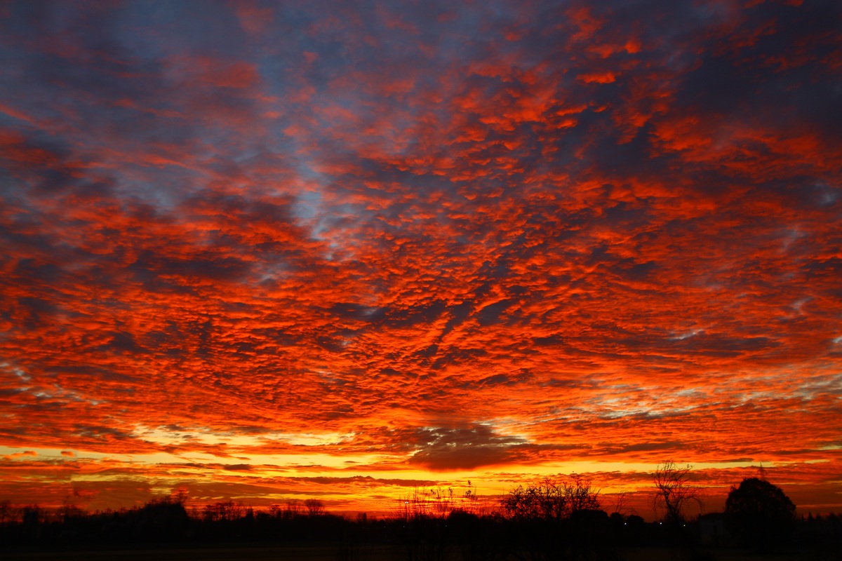 l'alba del 20/11/2014