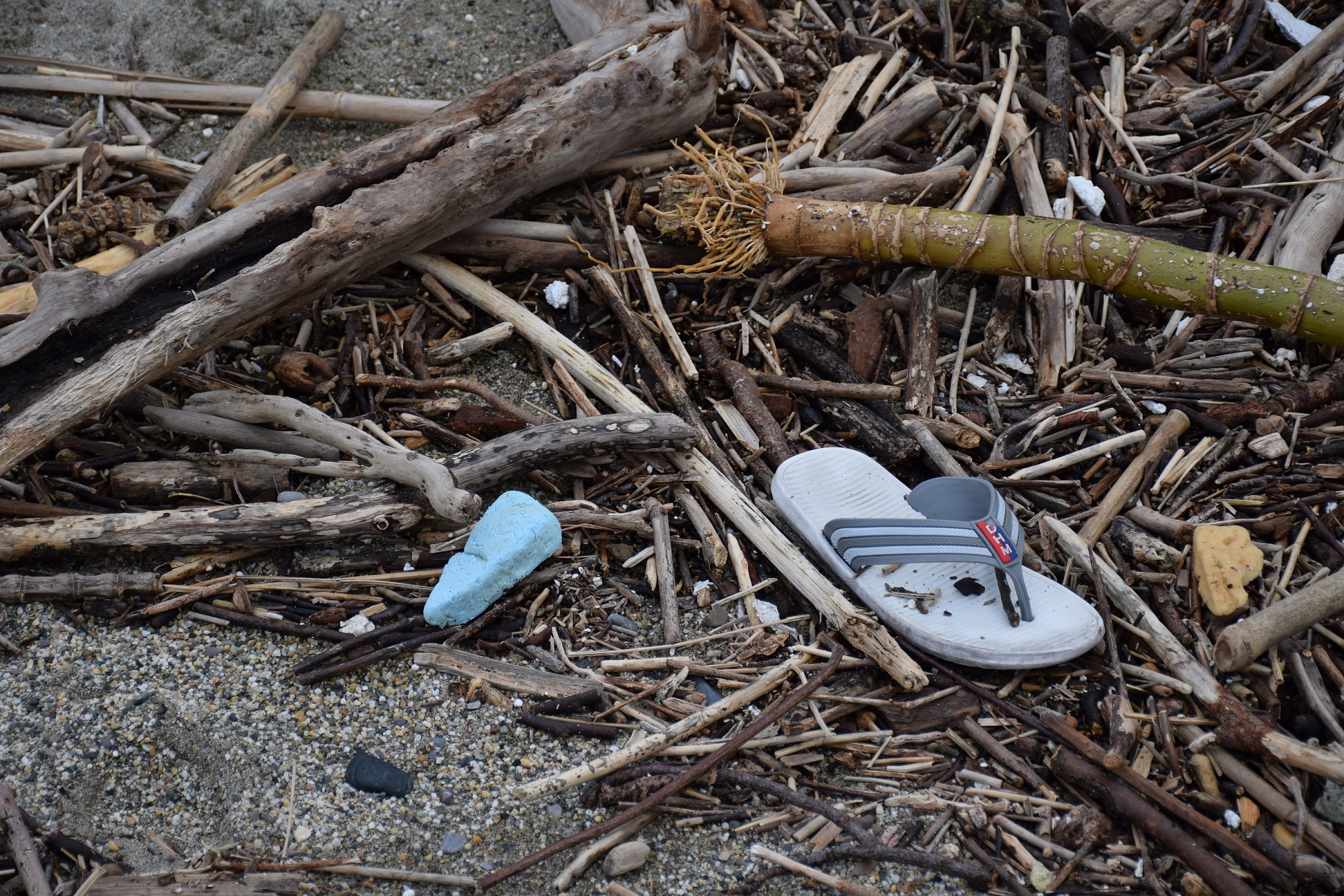 dopo la mareggiata......