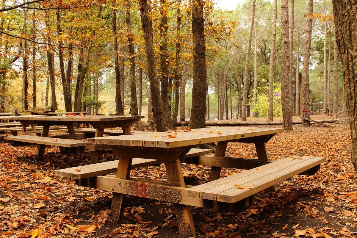 la quiete prima del pranzo domenicale