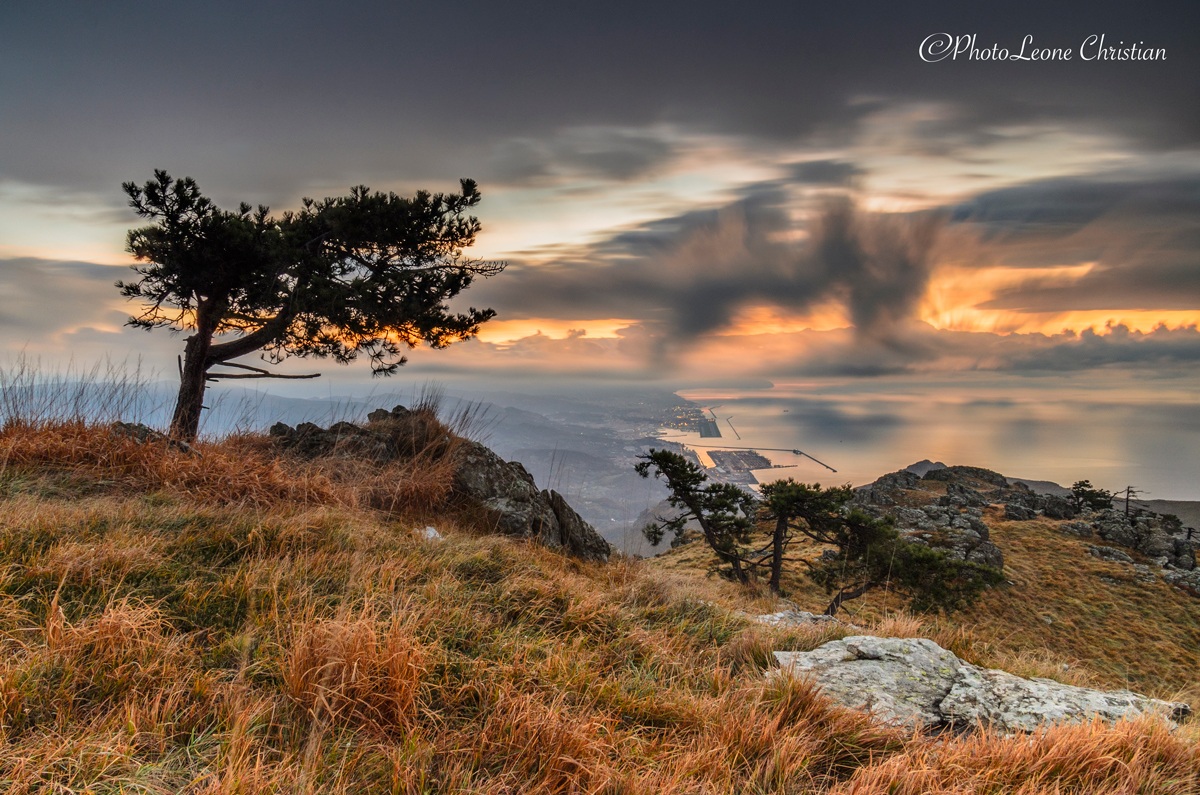 Rime on the heights of Genoa