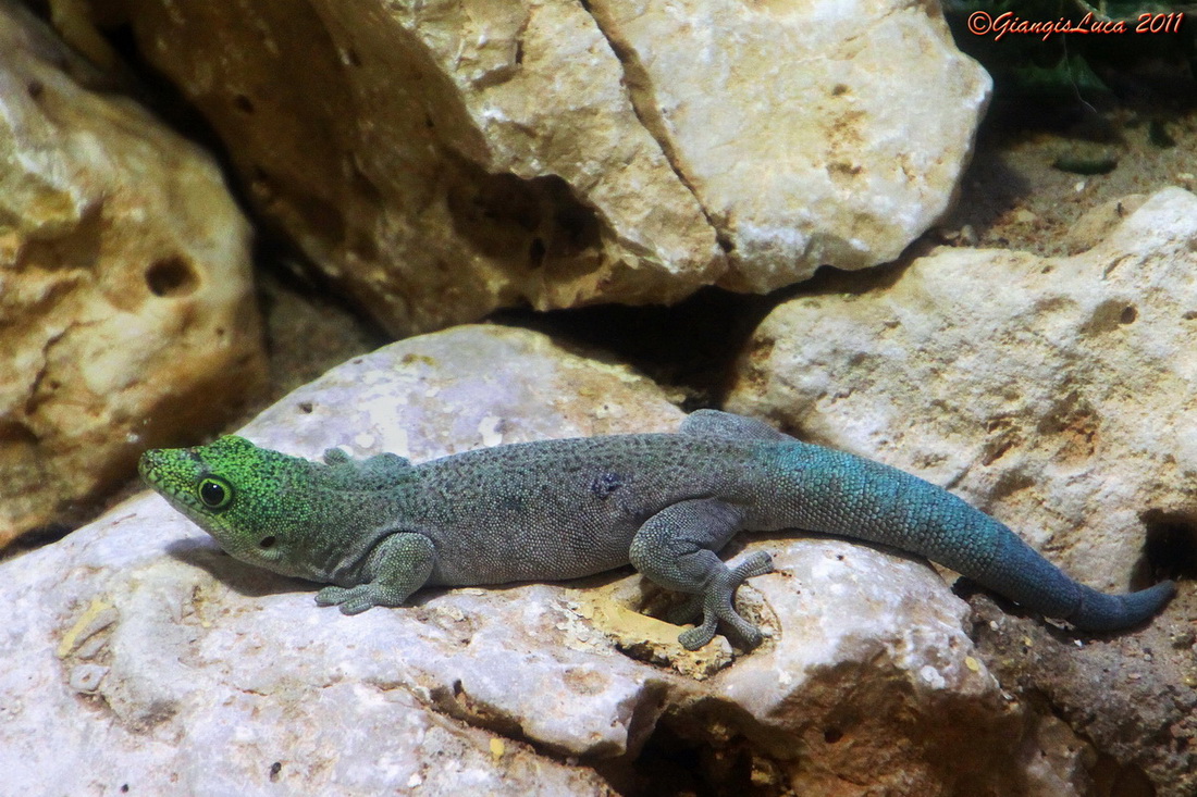 Con i bambini allo Zoo 17