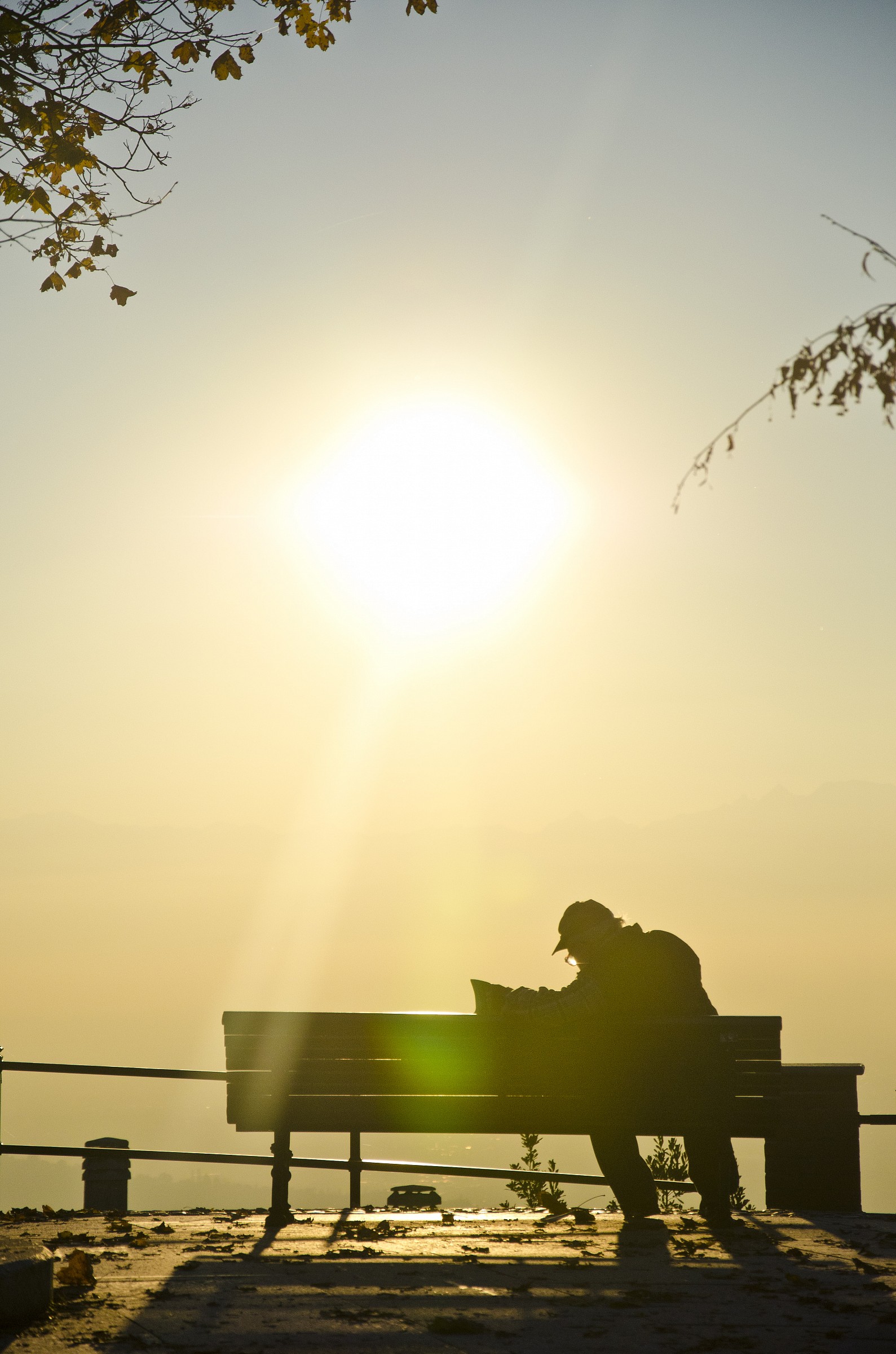 Elder in the wound by the light ..