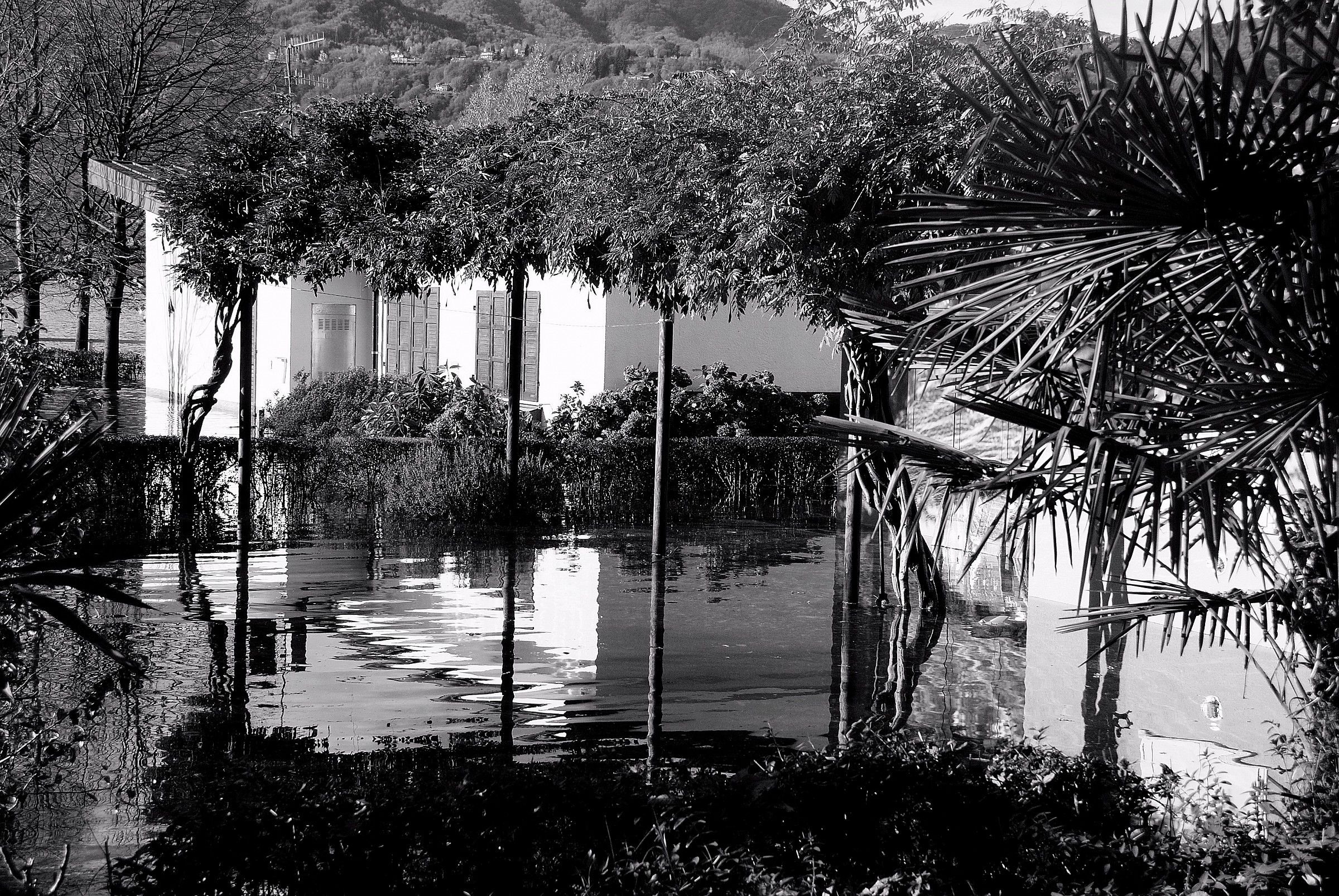 piscina sotto la pergola