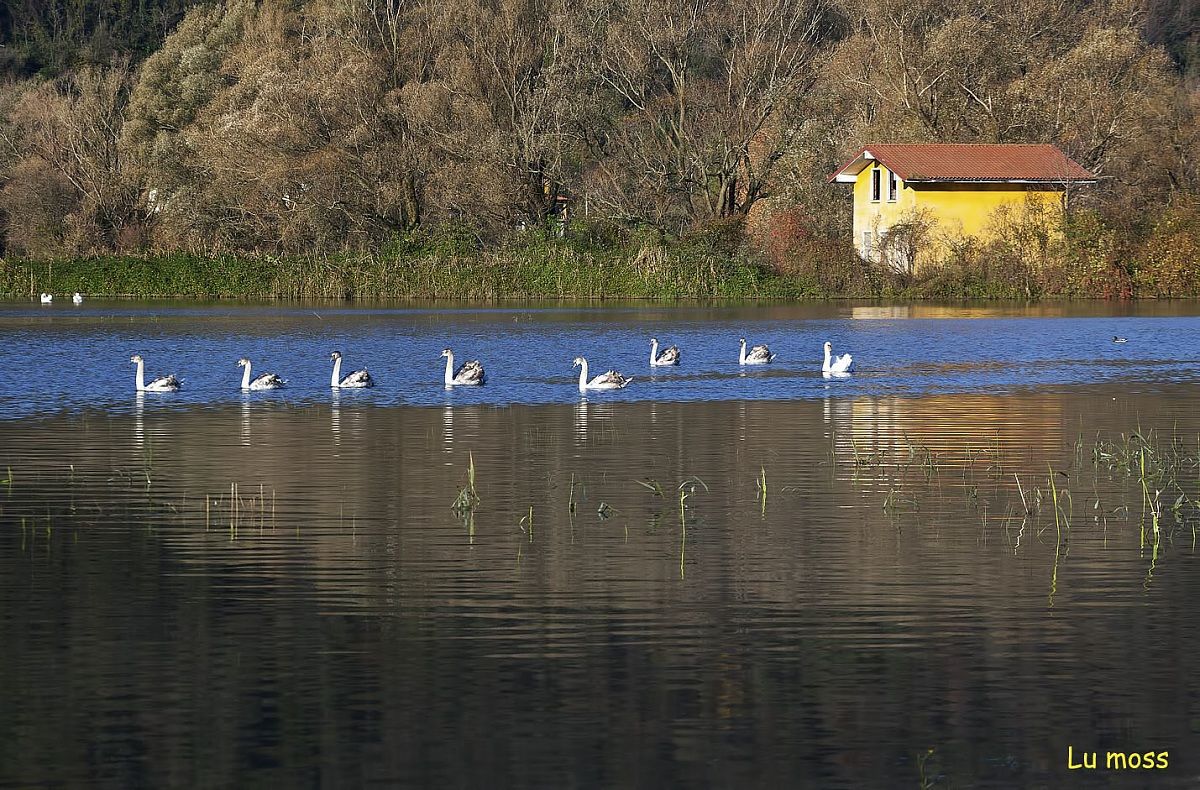 In fila indiana alla casa gialla.