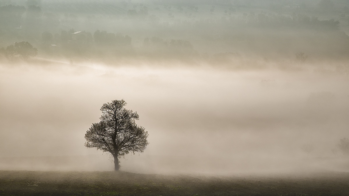 Al confine della nebbia