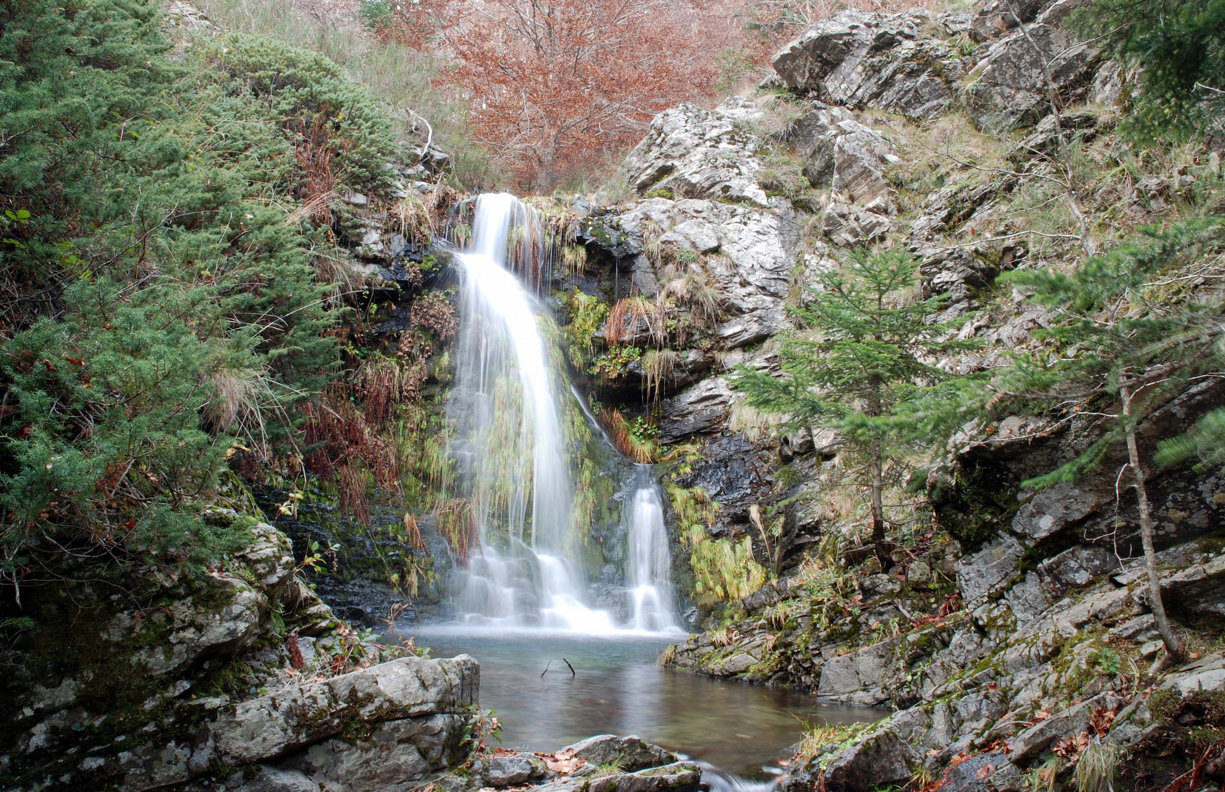 Parco aspromonte....