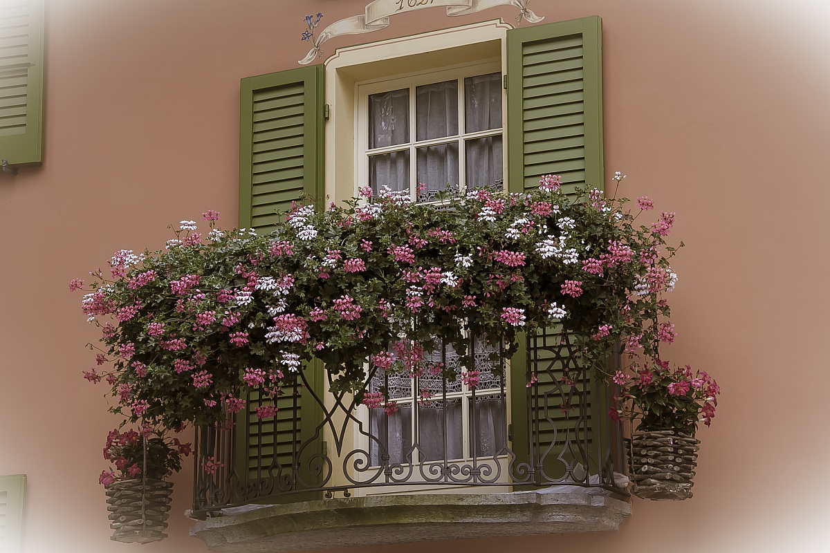 Balcone fiorito
