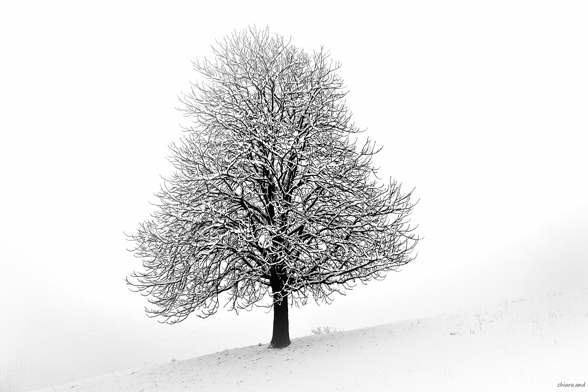 Tu....io,  e la neve .....