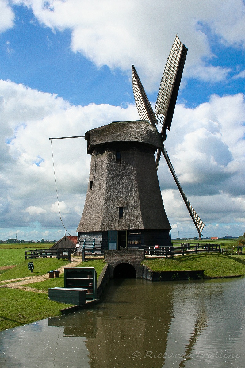 The giant of the campaign.