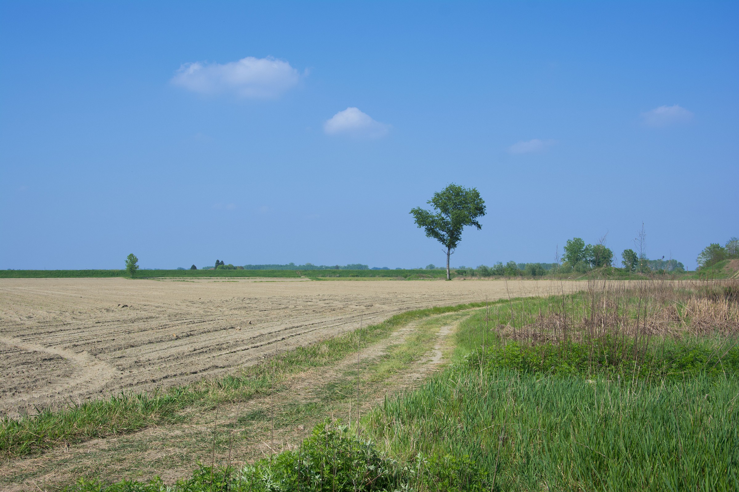 ... Around the river