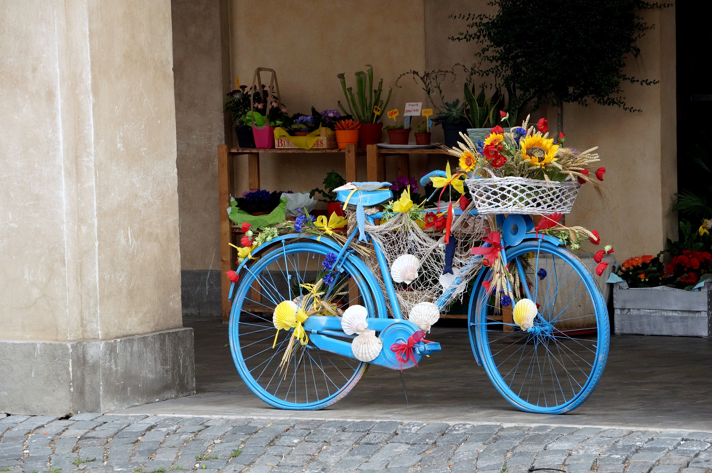 Sea and Mountain Biking