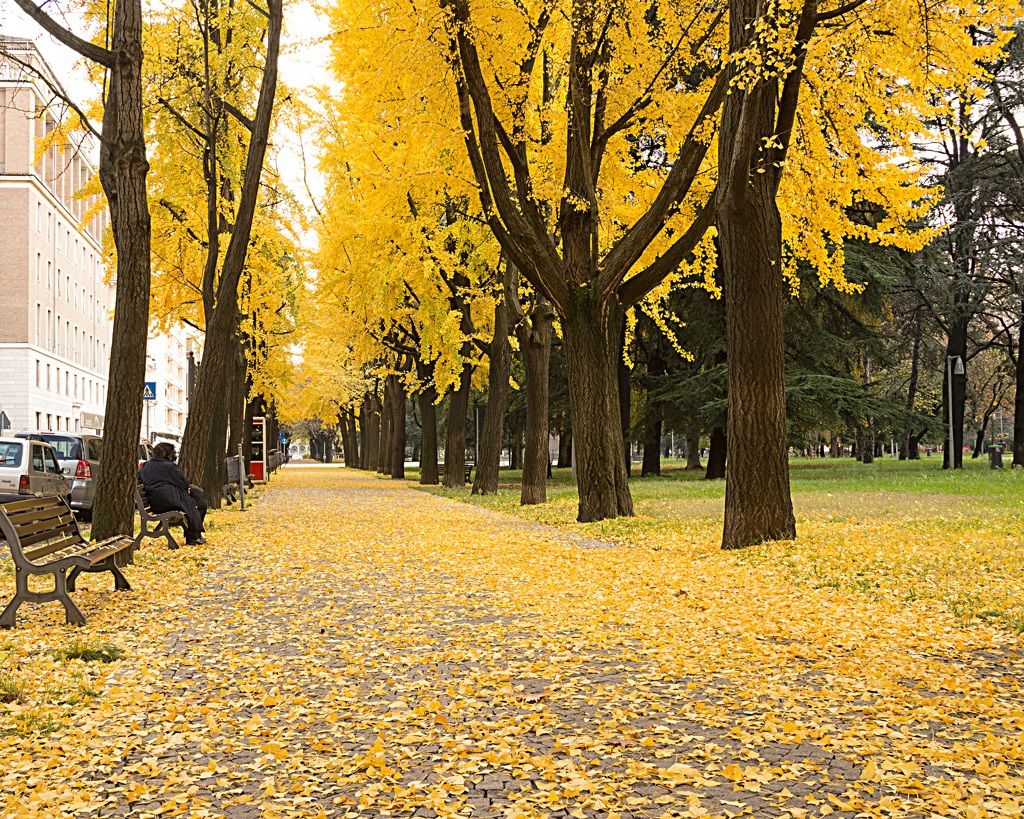 Autunno in Alessandria