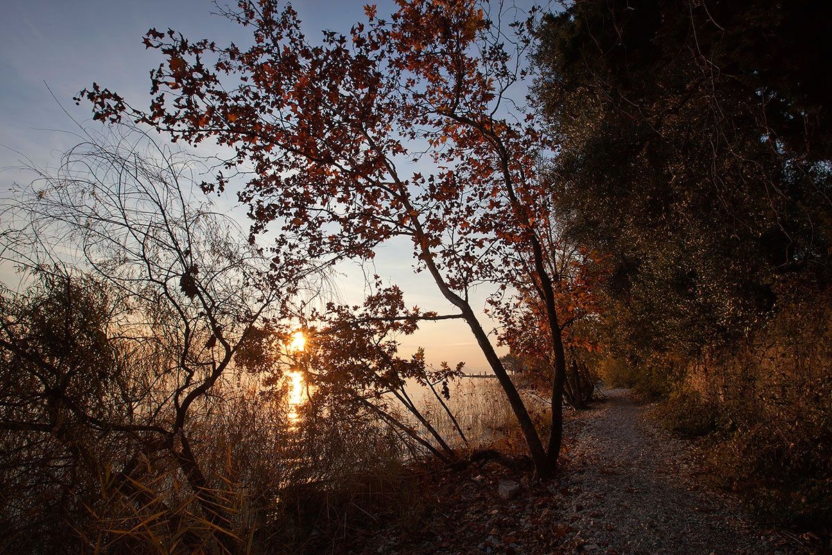 Tramonto a punta S.Vigilio ( Garda )