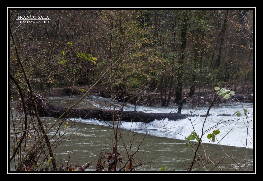 The day after..16/11/2014