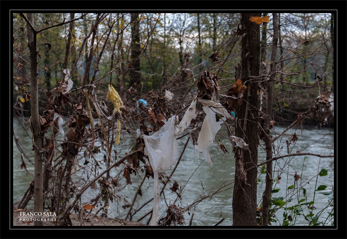 The day after..16/11/2014