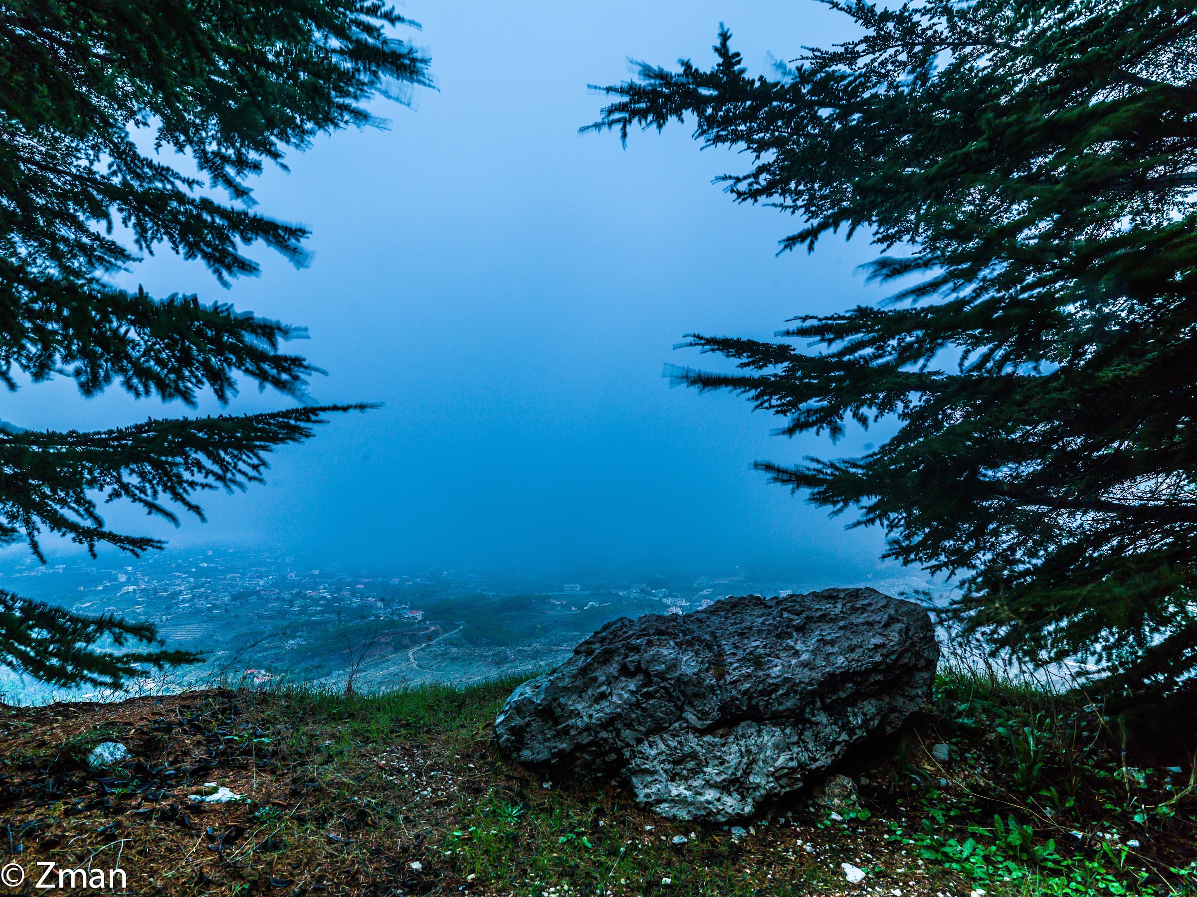 I cedri del Al Barouk