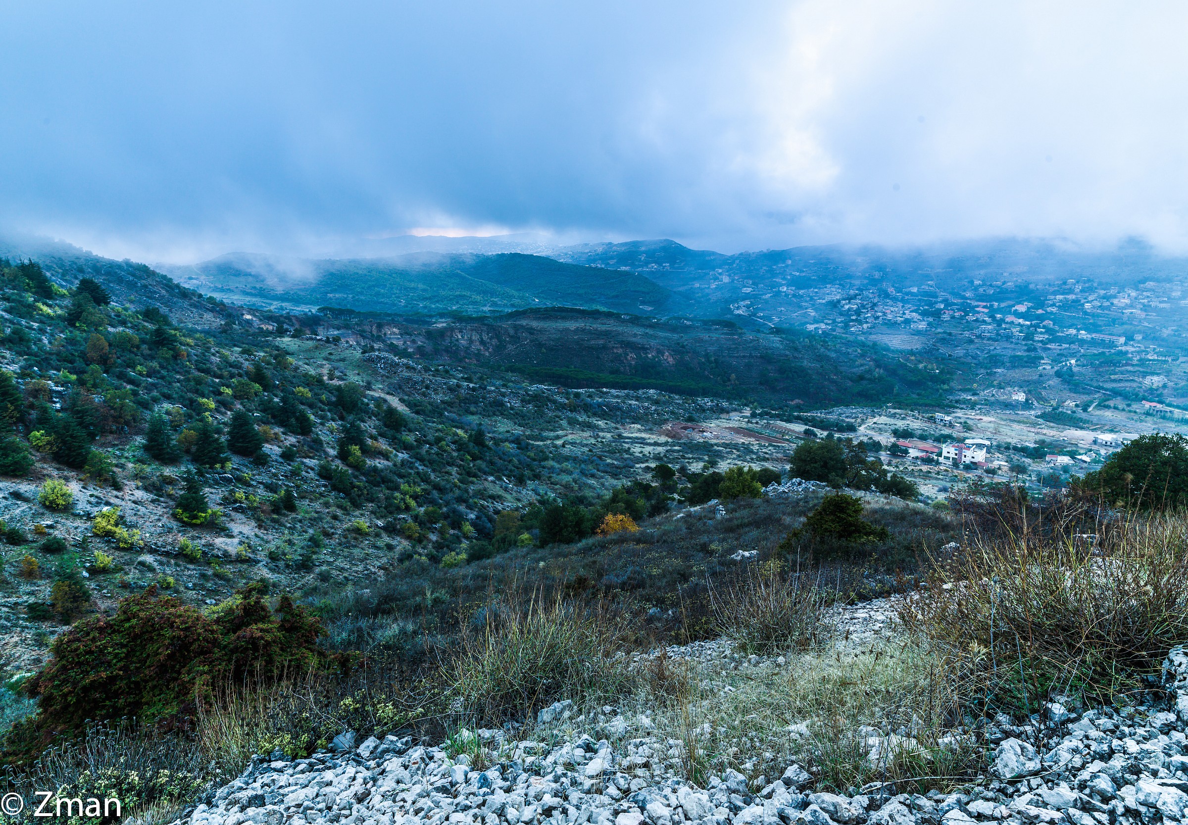 I cedri del Al Barouk