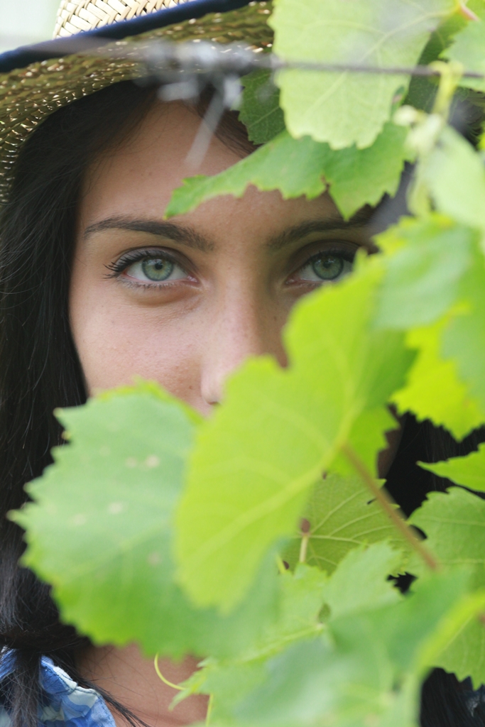 prima del raccolto...