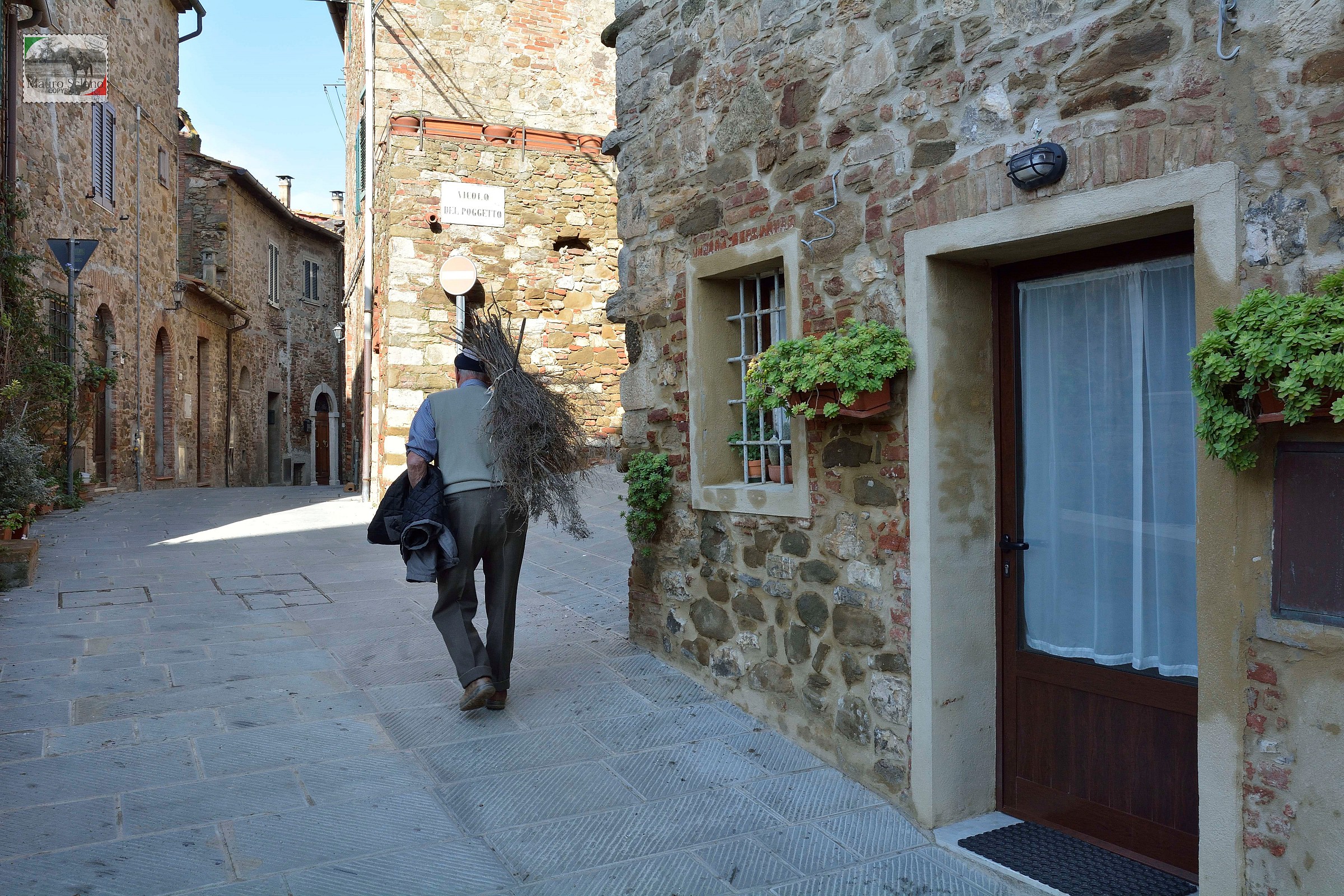 maremma..fascine per il camino