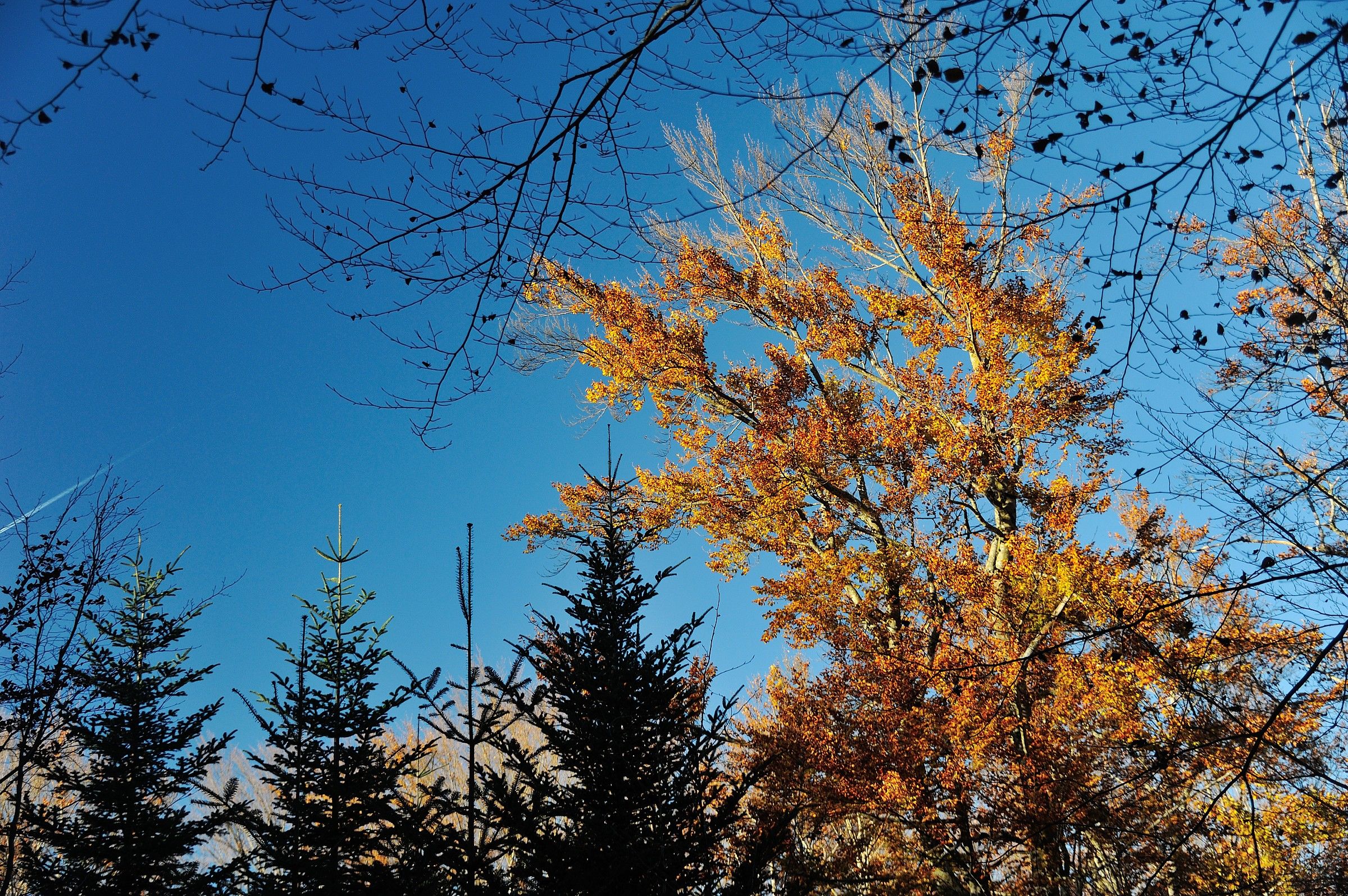 Autunno in val sella