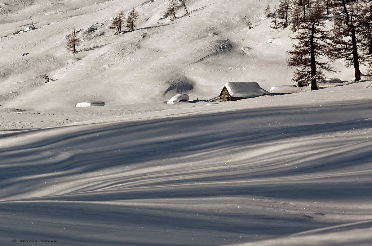 Giochi d'ombre in Val Buscagna