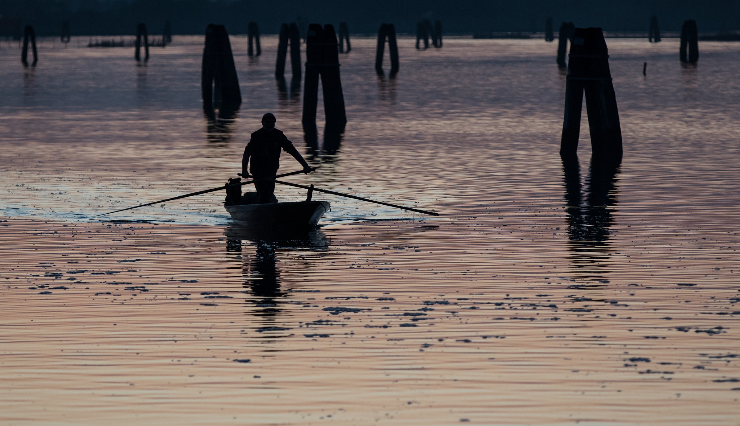 Venetian rowing at sunset
