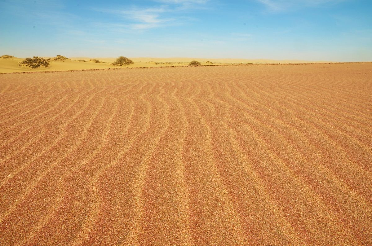 Namibian desert