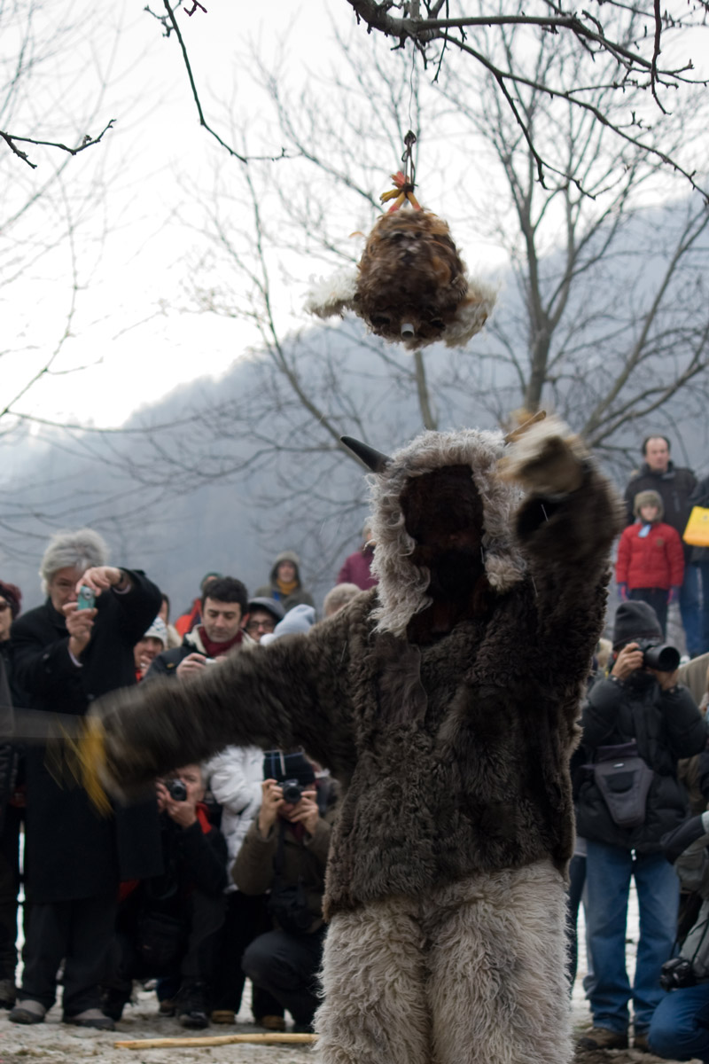 Il Pajasso decapita il gallo