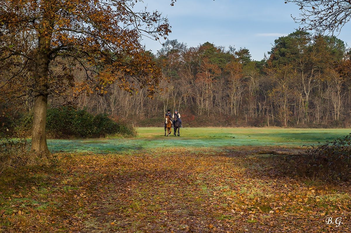 Al galoppo nella natura