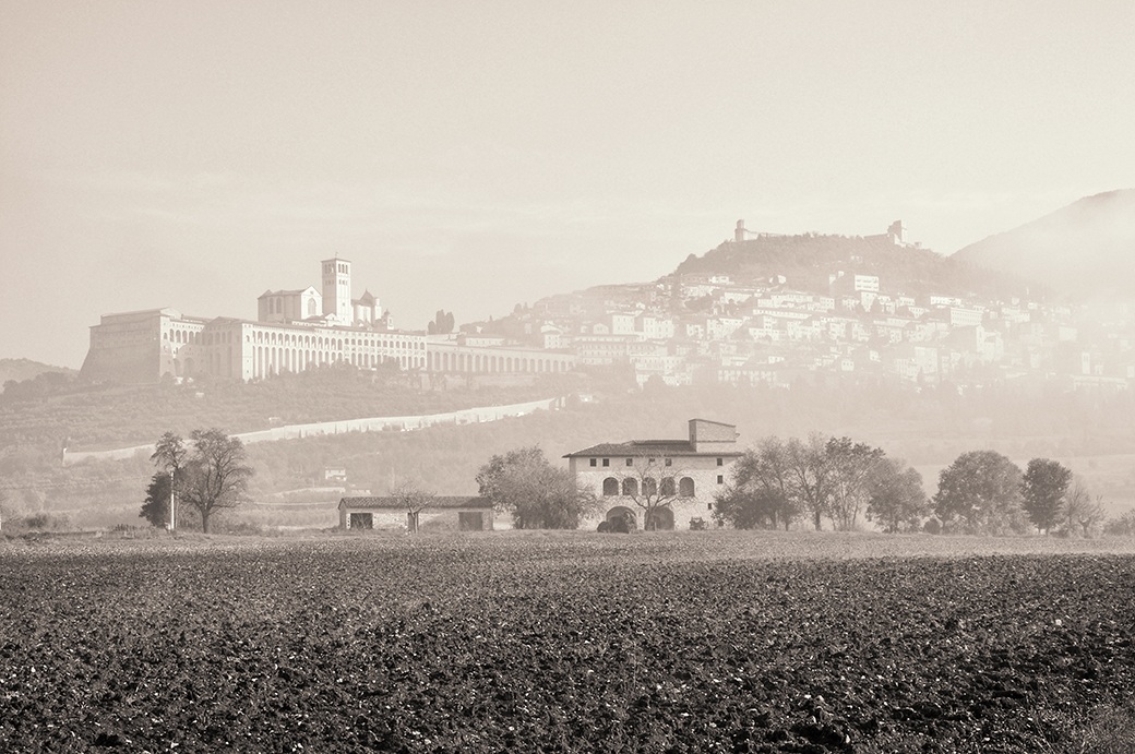 Fog of Assisi
