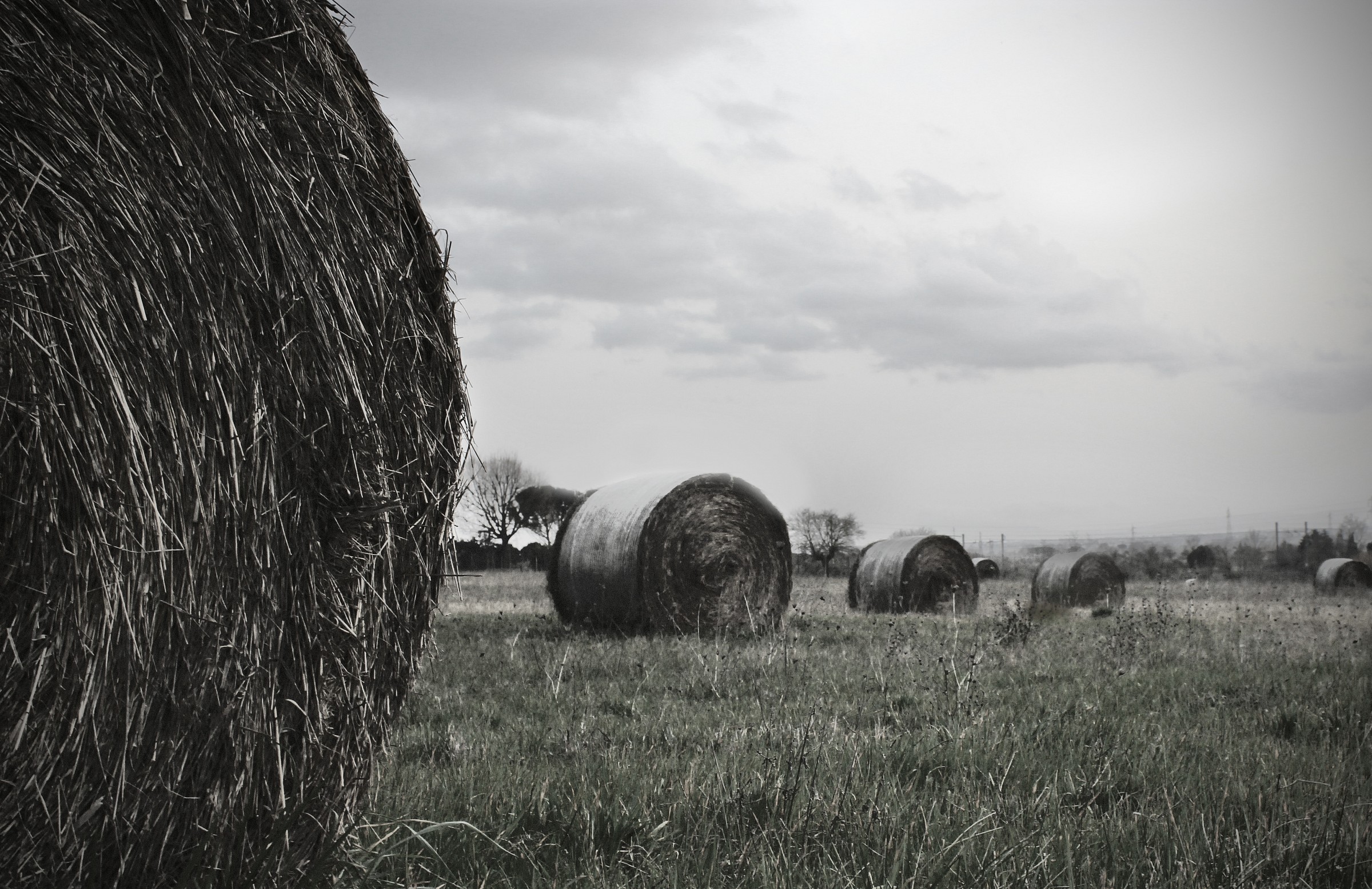 Bales of hay