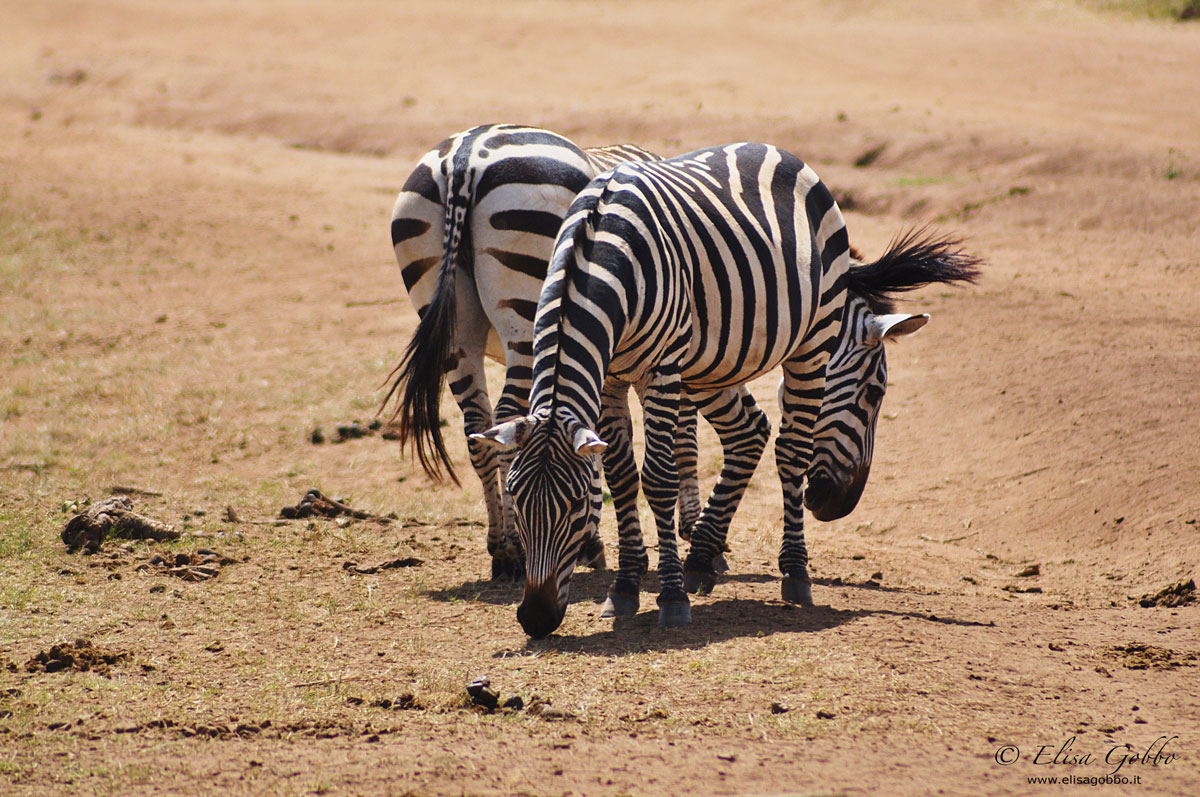 You look to the I look here !!!