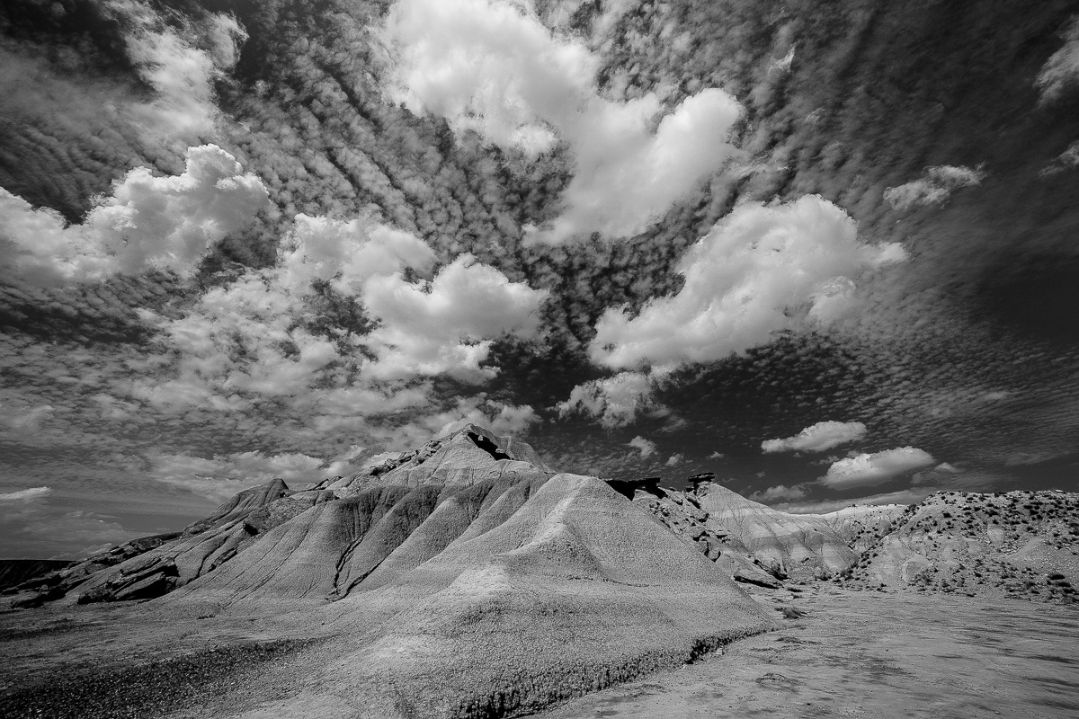 Bardenas in black and white