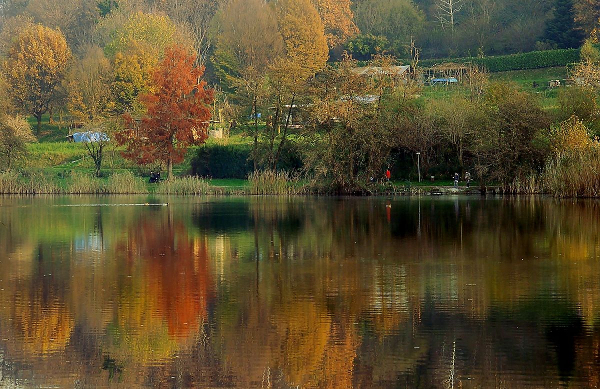 Autunno al Laghetto