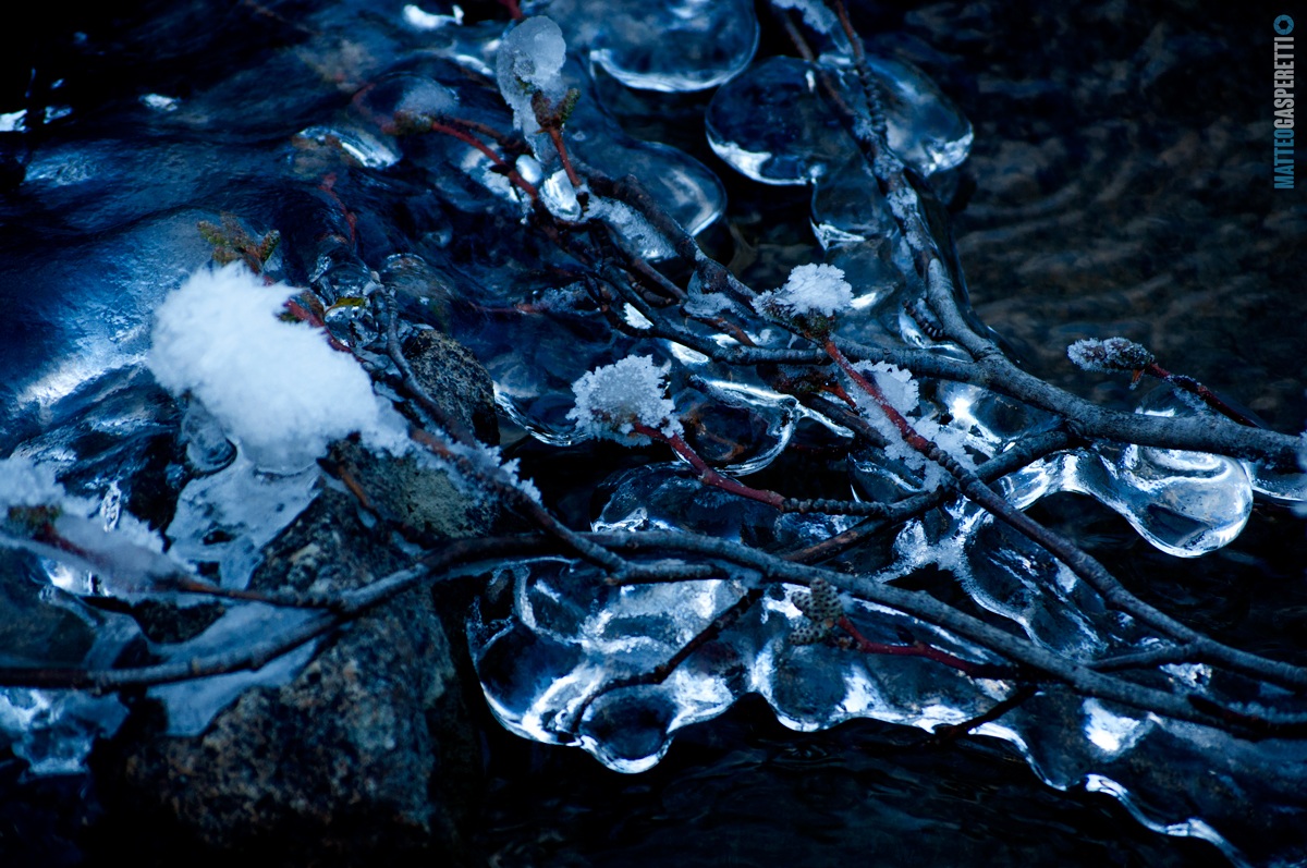 Fioritura fuori tempo