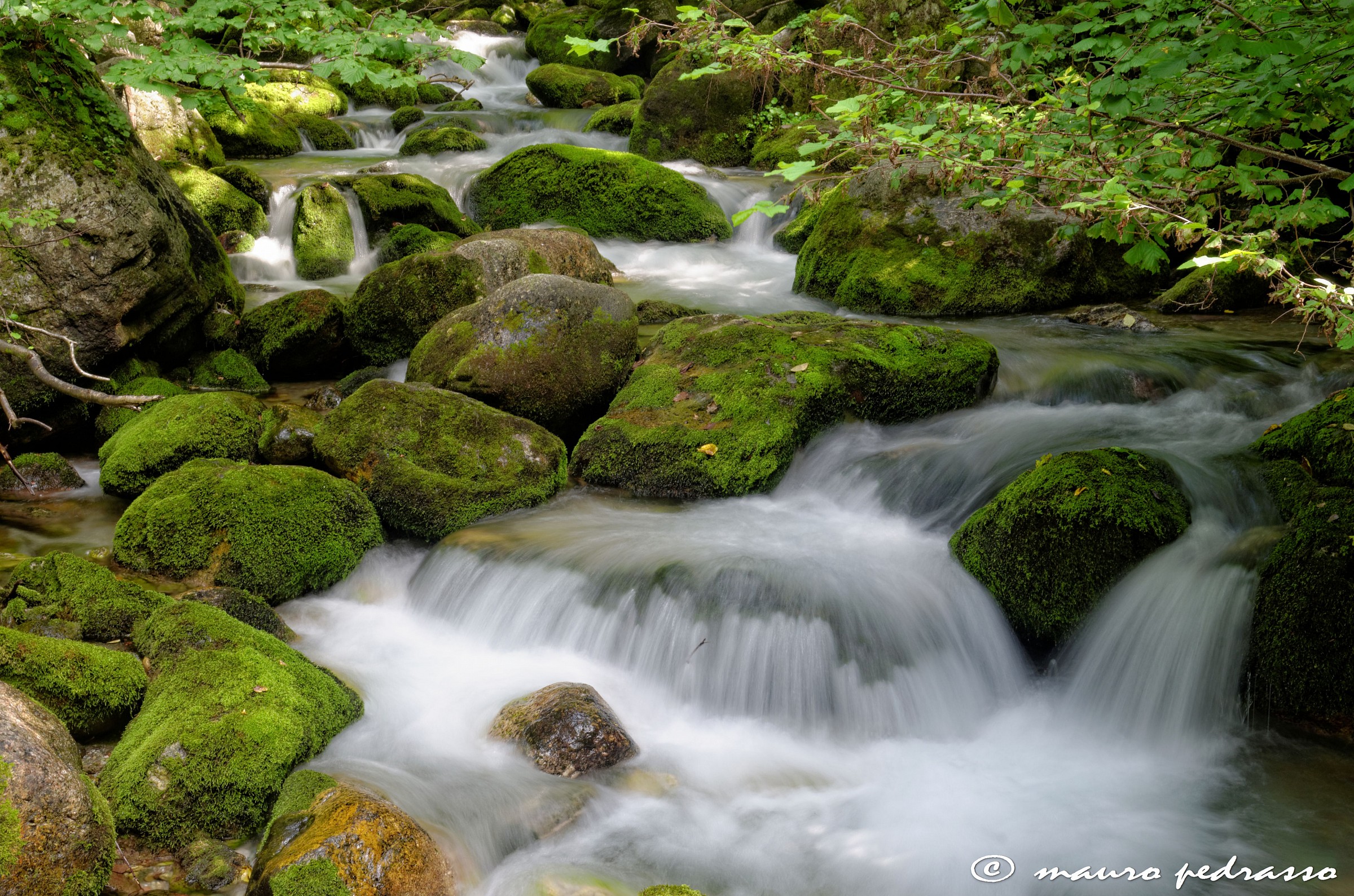 Chiare et fresche et dolci acque