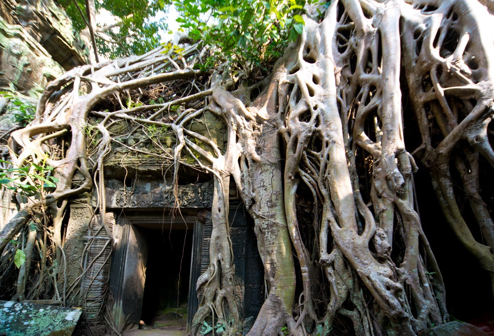 Ta Phrom: il tempio del noto film