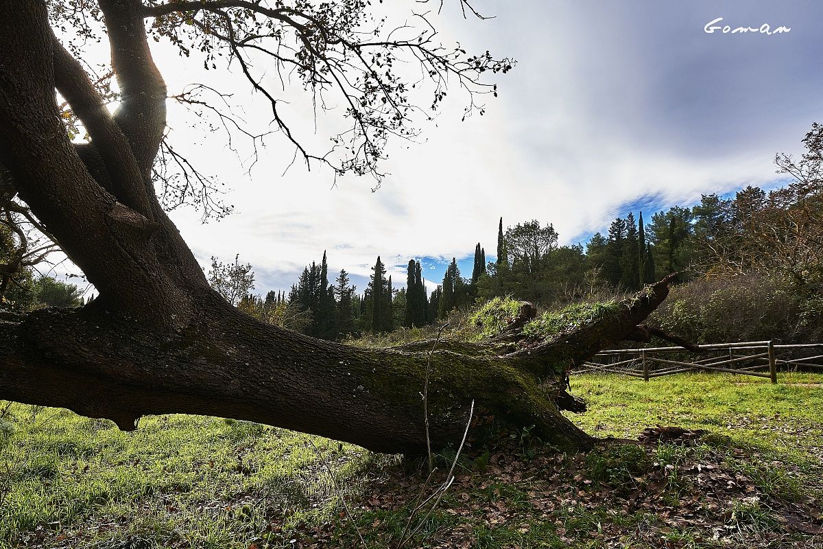 ... Left blank a piece of heaven