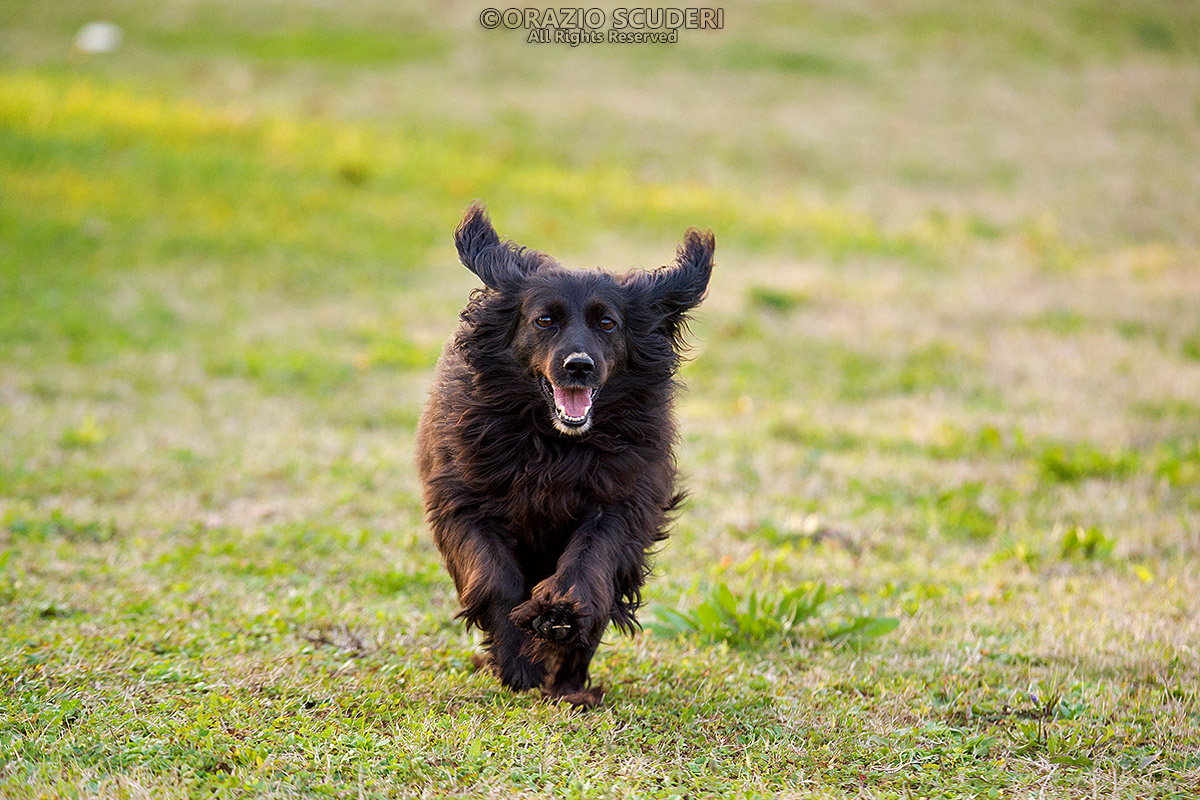 Pronti...Partenza...Via!