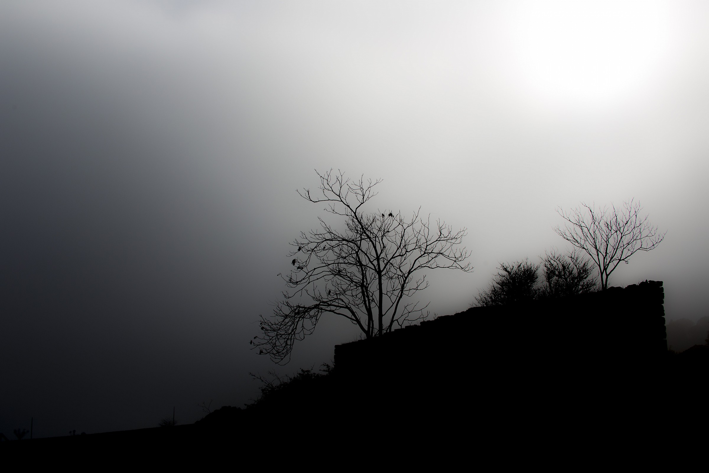 Visione in controluce