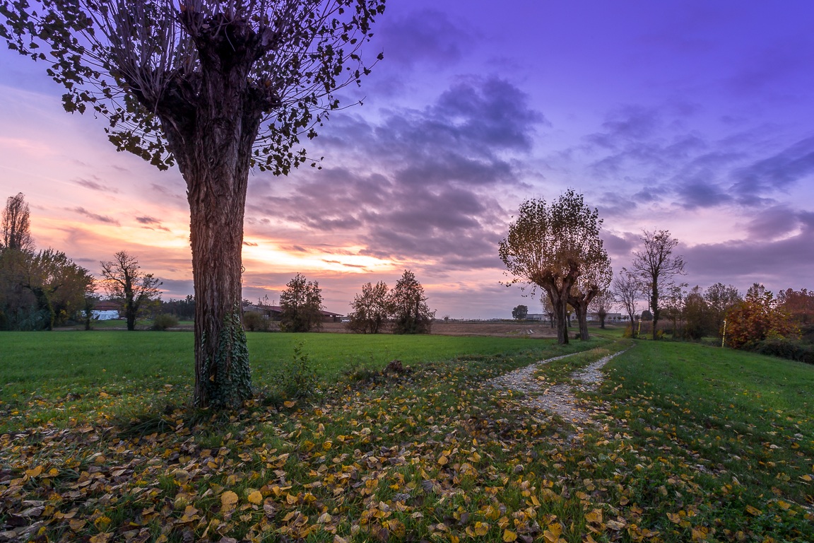 passeggiando in campagna