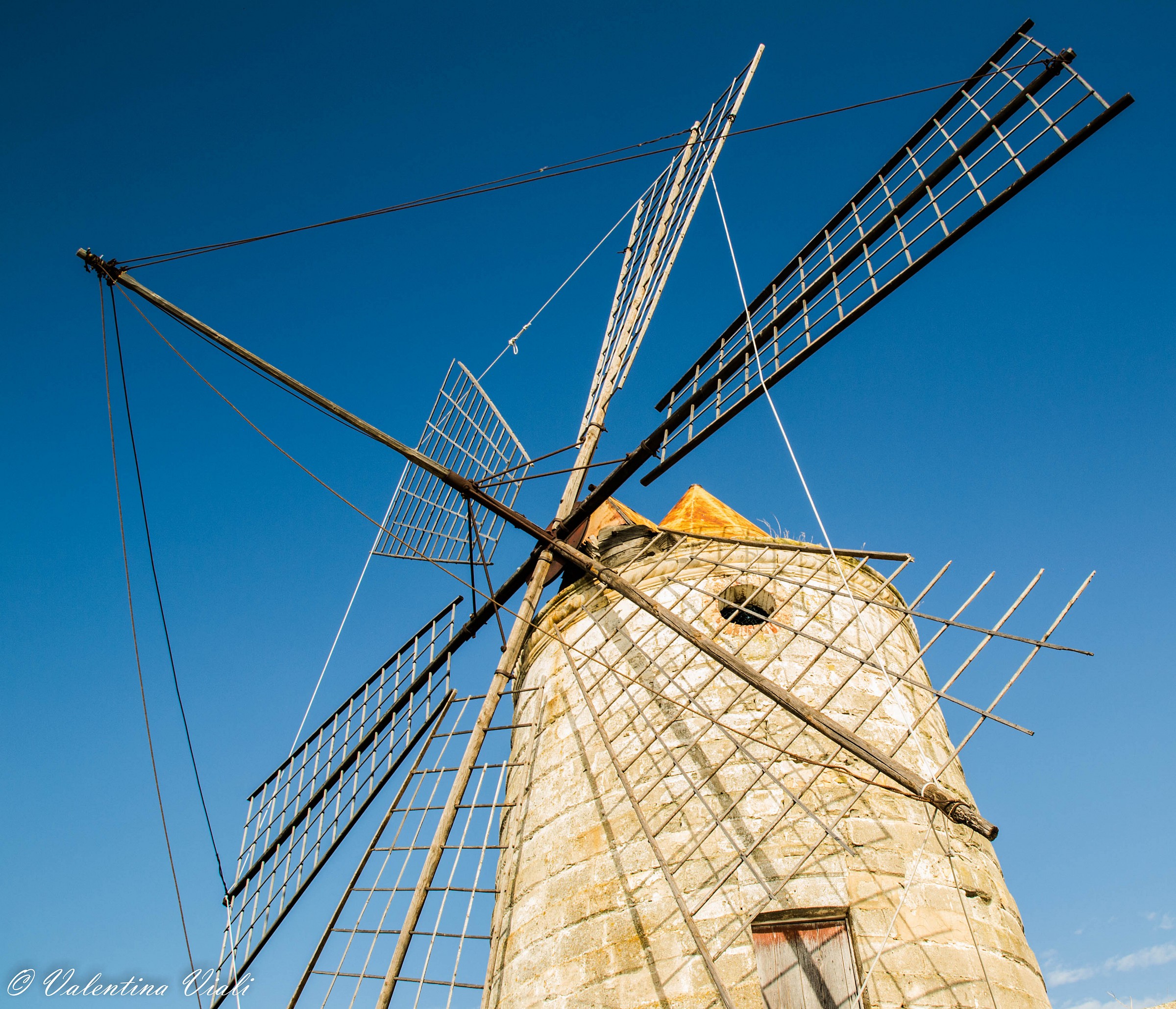 Mulino wwf, Saline, Trapani